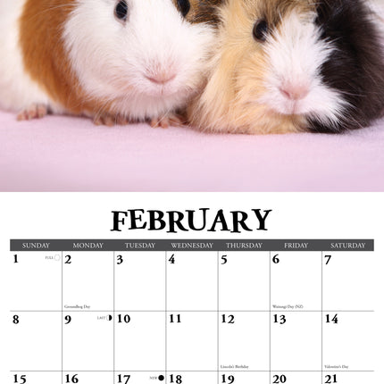 Willow Creek Cavia Kalender 2026