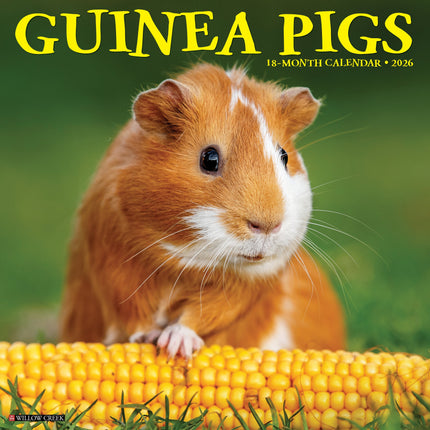 Willow Creek Cavia Kalender 2026
