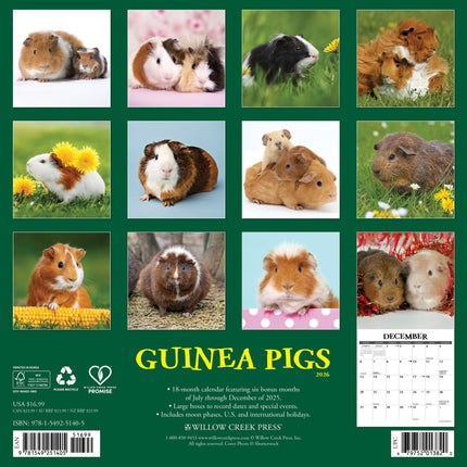 Willow Creek Cavia Kalender 2026