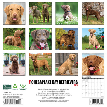 Willow Creek Chesapeake Bay Retriever Kalender 2026
