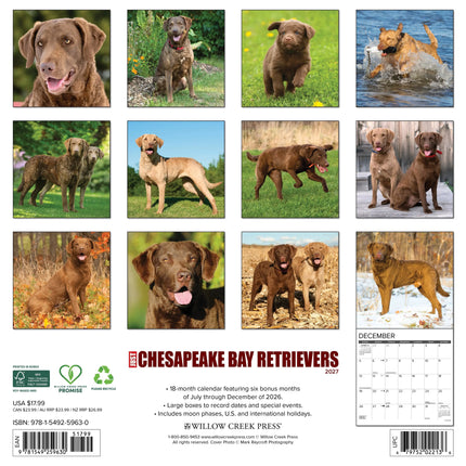 Willow Creek Chesapeake Bay Retriever Kalender 2026