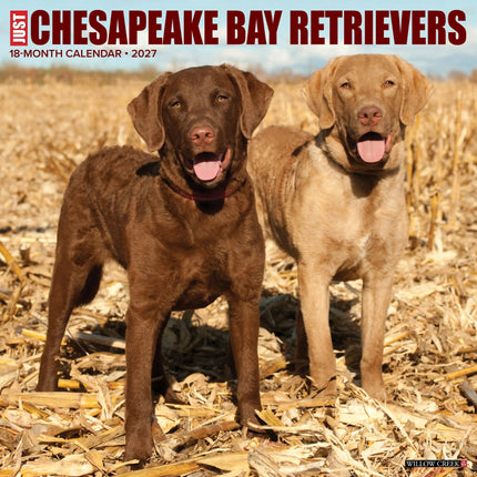 Willow Creek Chesapeake Bay Retriever Kalender 2027