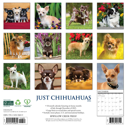 Willow Creek Chihuahua Kalender 2026