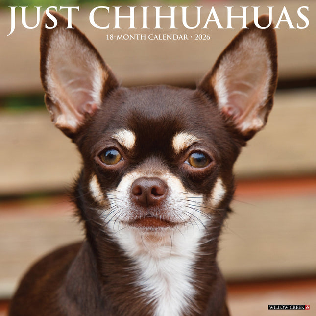 Willow Creek Chihuahua Kalender 2026
