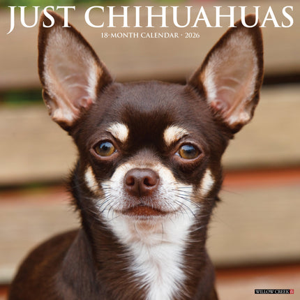 Willow Creek Chihuahua Kalender 2026