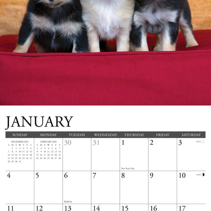 Willow Creek Chihuahua Kalender 2026