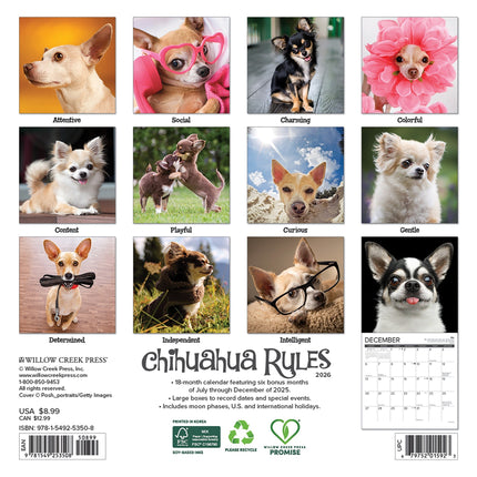 Willow Creek Chihuahua Kalender 2026 Mini