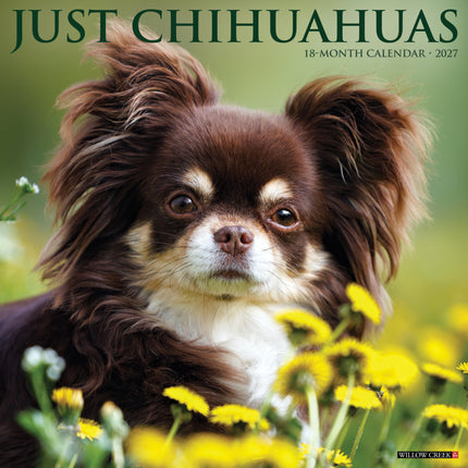 Willow Creek Chihuahua Kalender 2027