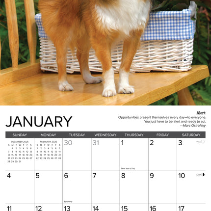 Willow Creek Chihuahua Rules Kalender 2026