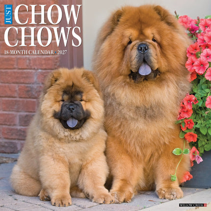 Willow Creek Chow Chow Kalender 2027