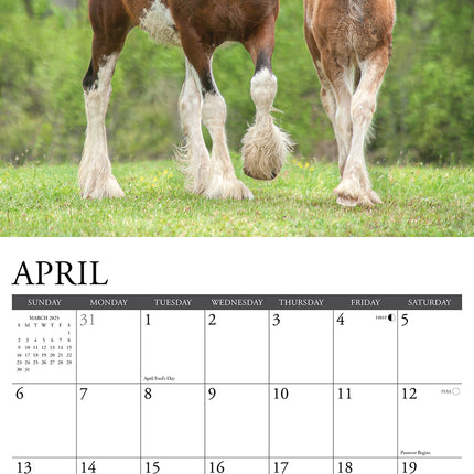 Willow Creek Clydesdales Kalender 2025