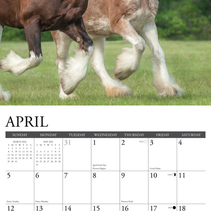 Willow Creek Clydesdales Kalender 2026