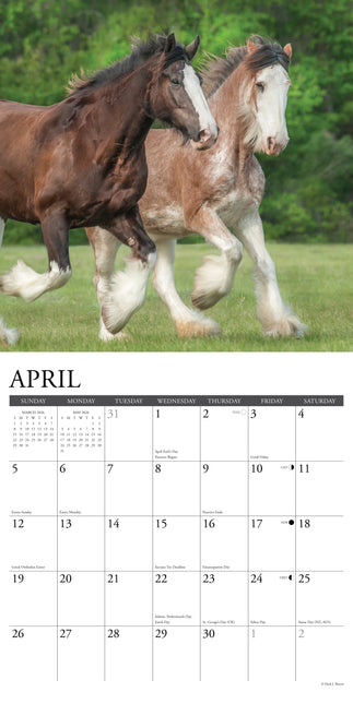 Willow Creek Clydesdales Kalender 2026