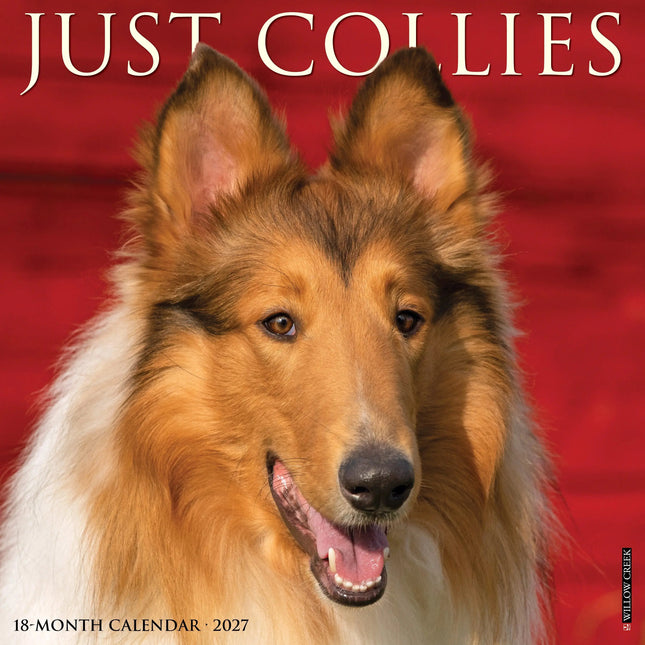 Willow Creek Collie - Schotse Herder Kalender 2027