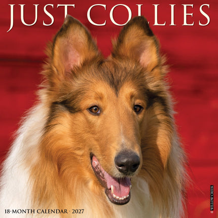 Willow Creek Collie - Schotse Herder Kalender 2027