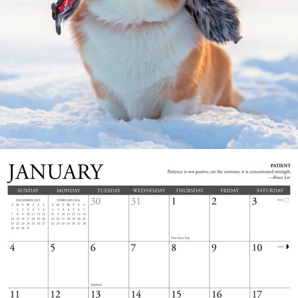 Willow Creek Corgi Rules Kalender 2026