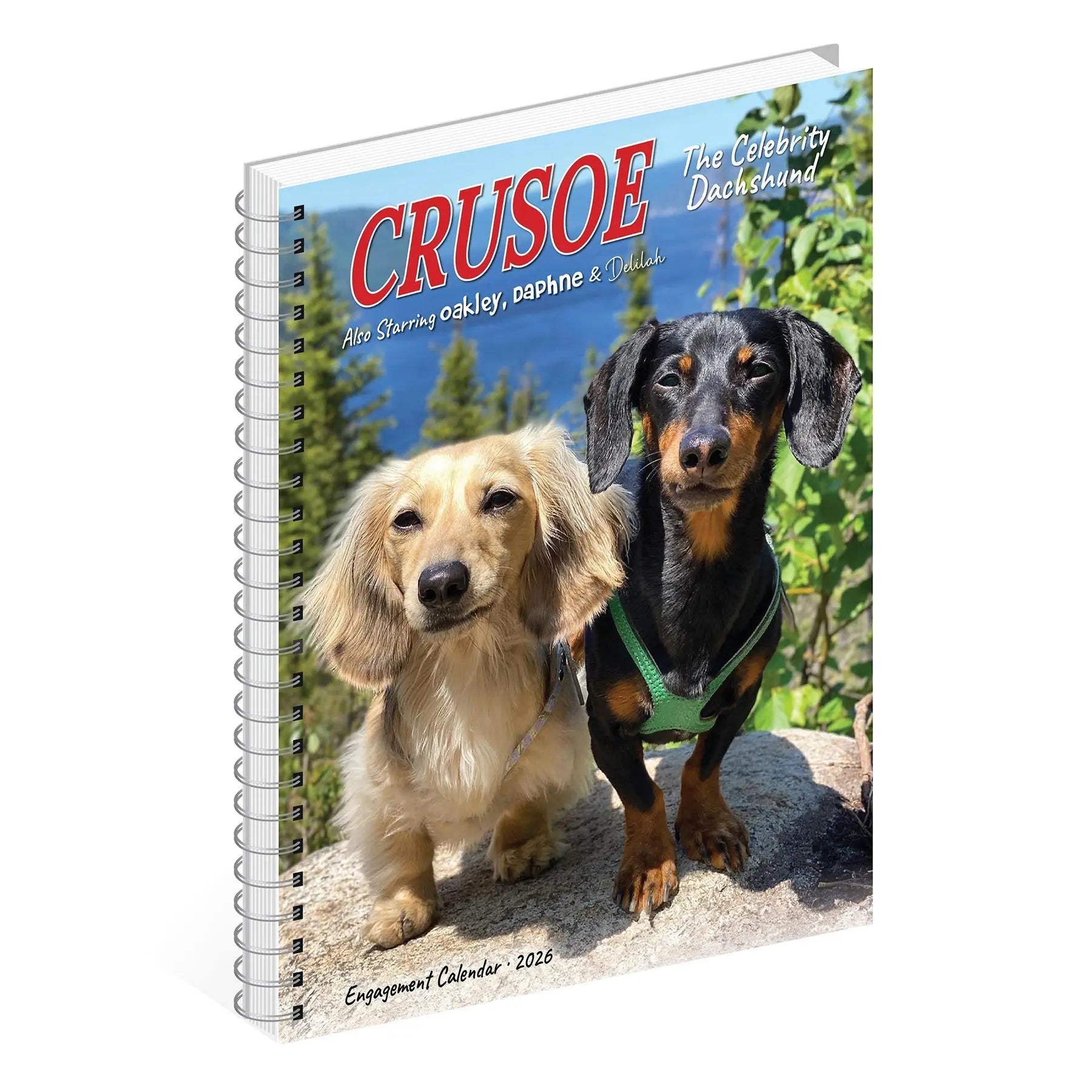 Download Crusoe The Celebrity Dachshund 2022 Mini Wall Calendar