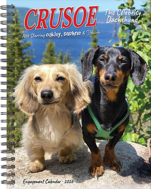 Willow Creek Crusoe de Teckel Agenda 2026