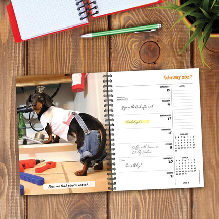 Willow Creek Crusoe de Teckel Agenda 2027