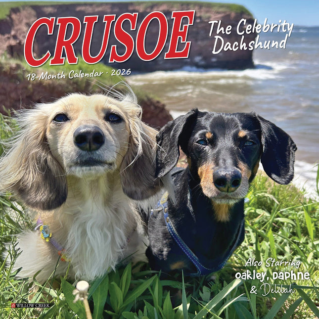 Buy Crusoe the Dachshund Mini Calendar 2026 Simply order