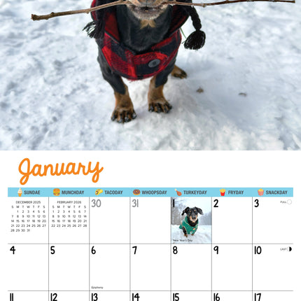 Willow Creek Crusoe de Teckel Kalender 2027
