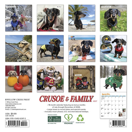 Willow Creek Crusoe de Teckel Kalender 2027 Mini