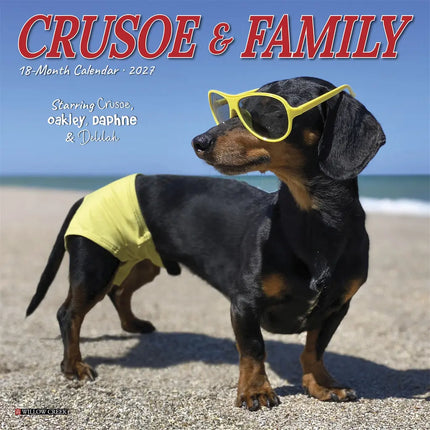 Willow Creek Crusoe de Teckel Kalender 2027 Mini