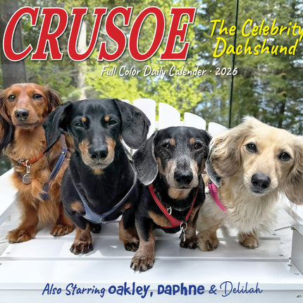 Willow Creek Crusoe de Teckel Scheurkalender 2026 Boxed