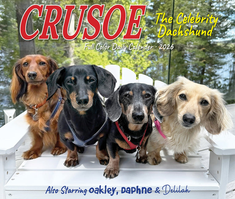 Willow Creek Crusoe de Teckel Scheurkalender 2026 Boxed