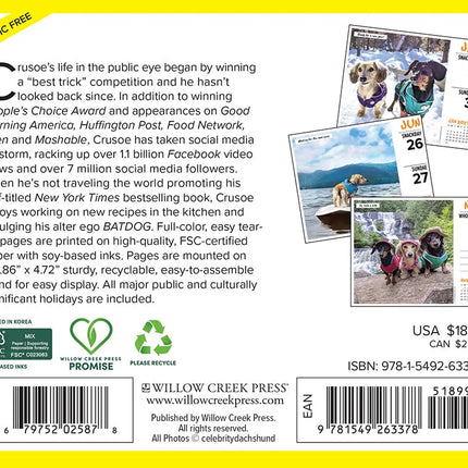Willow Creek Crusoe de Teckel Scheurkalender 2027 Boxed