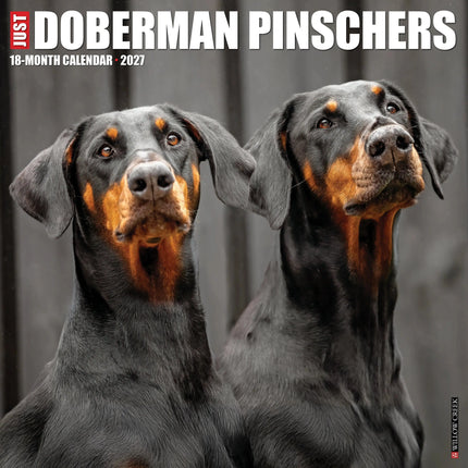 Willow Creek Dobermann Kalender 2027