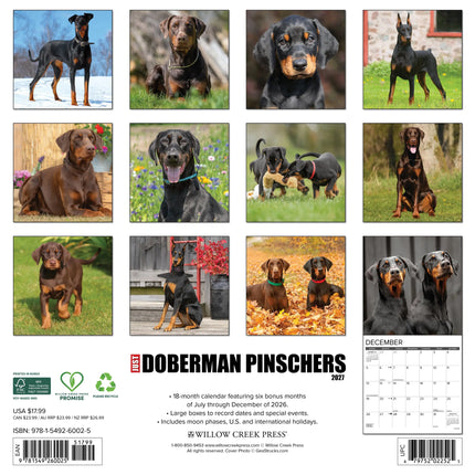 Willow Creek Dobermann Kalender 2027