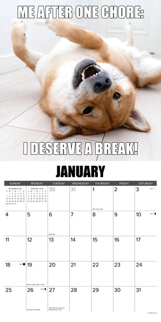 Willow Creek Dog-Gone-It Kalender 2026