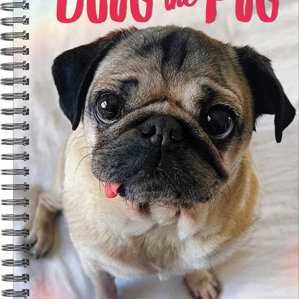 Willow Creek Doug the Pug Agenda 2026