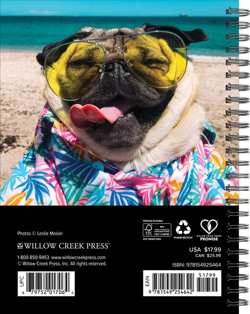 Willow Creek Doug the Pug Agenda 2026