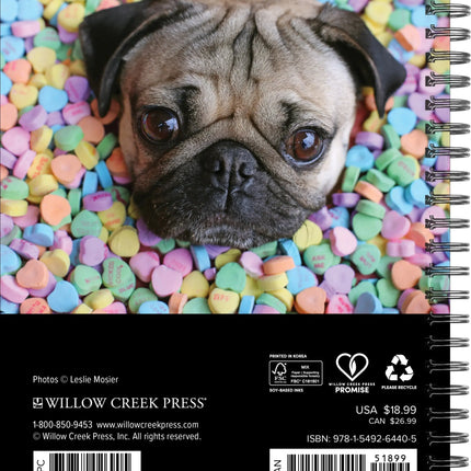 Willow Creek Doug the Pug Agenda 2027