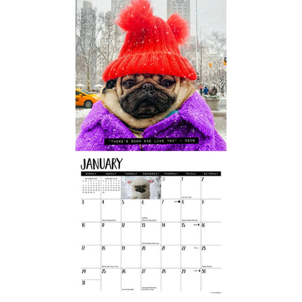 Willow Creek Doug the Pug Kalender 2027 Mini