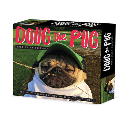 Willow Creek Doug the Pug Scheurkalender 2026 Boxed