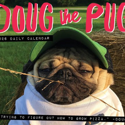 Willow Creek Doug the Pug Scheurkalender 2026 Boxed