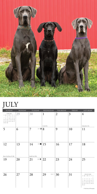 Willow Creek Duitse Dog Kalender 2026