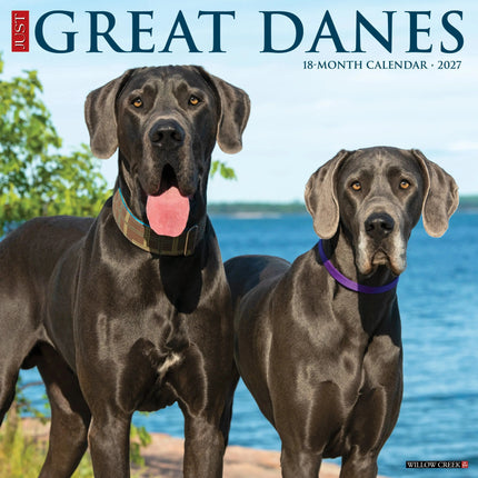Willow Creek Duitse Dog Kalender 2026