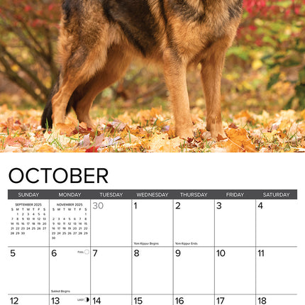 Willow Creek Duitse Herder Kalender 2025