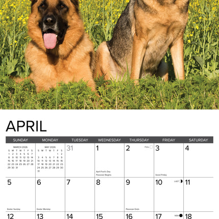 Willow Creek Duitse Herder Kalender 2026
