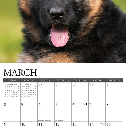 Willow Creek Duitse Herder Puppies Kalender 2025