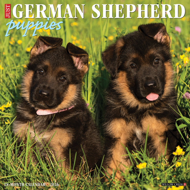 Willow Creek Duitse Herder Puppies Kalender 2026
