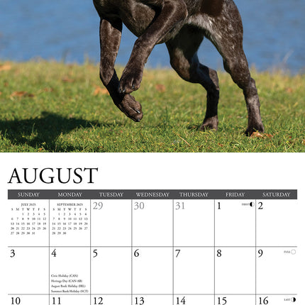 Willow Creek Duitse Staande Kalender 2025