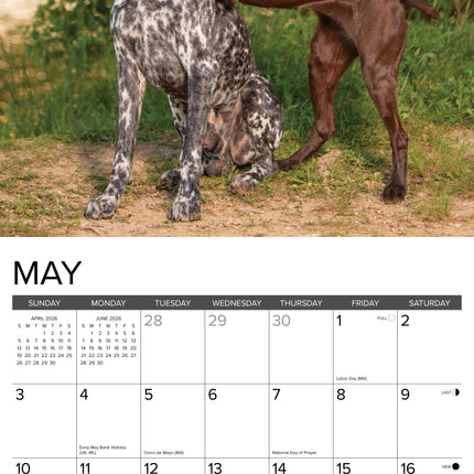 Willow Creek Duitse Staande Kalender 2026