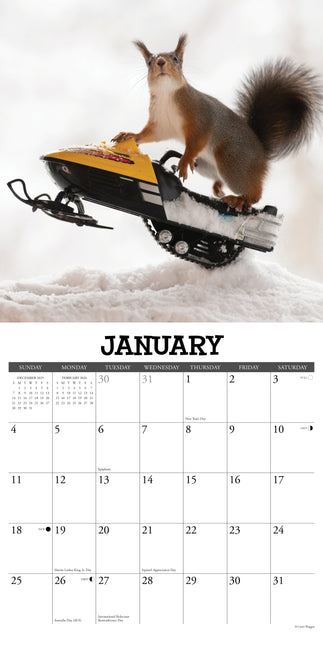 Willow Creek Eekhoorn Kalender 2026