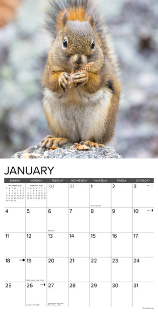 Willow Creek Eekhoorn Kalender 2026