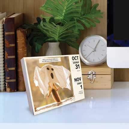 Willow Creek Eekhoorn Scheurkalender 2026 Boxed